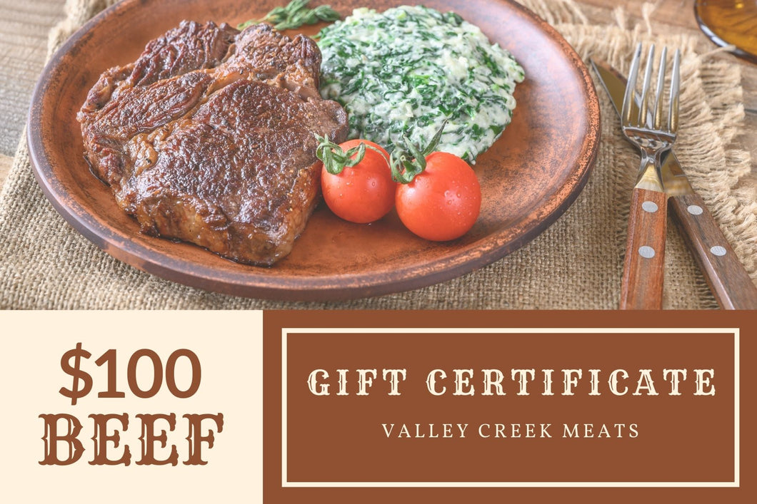 $100 Gift Certificate